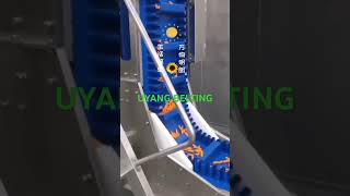 UYANG BELTING PU conveyor belt  pvc belt conveyorbelt beltfactory beltmaker conveyorbelt [upl. by Neilla]