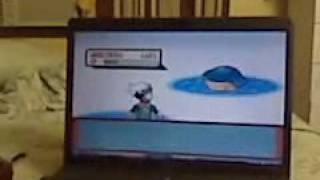 pokemon emerald how to catch wailmer [upl. by Constantine705]