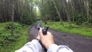 Glock 40 MOS 10mm 100 yard zero [upl. by Hamel]