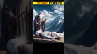 Protection Of Prophets   The one Speaksshorts history islamic shortsfeed⬆⬆↙ [upl. by Atilegna]