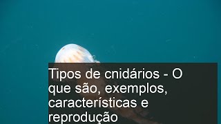 Tipos de CNIDÁRIOS  O que são exemplos características e reprodução [upl. by Yahsed]