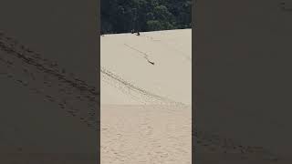 Sandboarding Tangalooma Desert Moreton Island QLD [upl. by Wagoner]