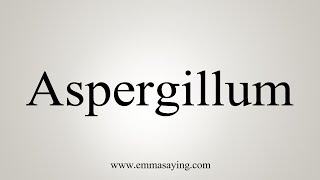 How To Say Aspergillum [upl. by Anavi787]