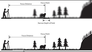 Depth of Field An Easy Overview 2023 [upl. by Allissa]