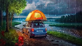 ASMR Heavy Rain Camping in the Forest Nature Therapy Deep Sleep [upl. by Irreg]