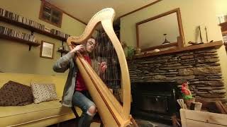 NZ 2024 Harp Performance Competition  Grade 34  Neo Hunt [upl. by Winshell]