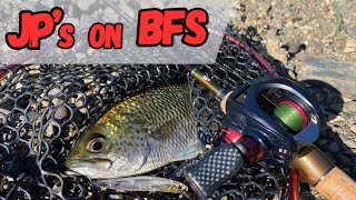 This stream is FULL of JUNGLE PERCH bfs baitfinesse baitfinessesystem [upl. by Erolyat]