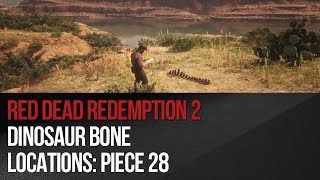 Red Dead Redemption 2  Dinosaur Bone Locations piece 28 [upl. by Zitah157]