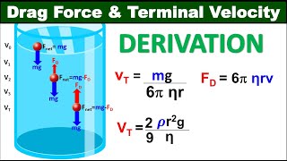 Physics Class 11 Chapter 6 Fluid Dynamics Derivation of Drag Force and Terminal Velocity Formulas [upl. by Eimak]