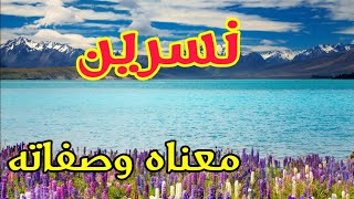 معنى اسم نسرين وصفات حاملة هذا الإسم [upl. by Aner349]