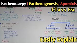 Parthenocarpy  Apomixis  Parthenogenesis  Seed Dormancy  Class 12 Biology [upl. by Haimirej493]