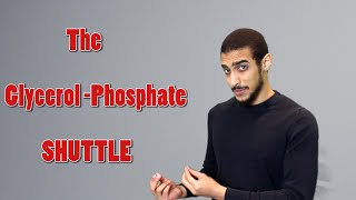 Glycerol Phosphate shuttle شرح بالعربي [upl. by Jarvis218]