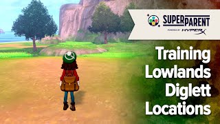 Training Lowlands Diglett Locations  Pokemon Sword and Pokemon Shield Isle of Armor [upl. by Roz]