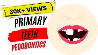 Anterior Guidance and Esthetics [upl. by Muhcan]