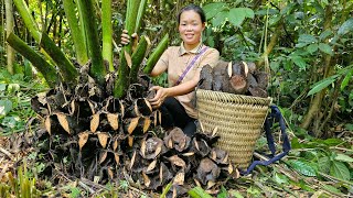 Harvesting Horseshoe tubers from nature Bringing to the market to sell  Pet care  Trieu Mai Huong [upl. by Eile263]