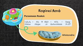 Metabolisme Glikolisis [upl. by Letsyrc]