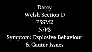 Symptoms Of PSSM2 Explosive Behaviour amp Canter Issues Darcy [upl. by Suiluj942]