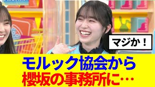 【櫻坂46】モルック協会から、櫻坂の事務所に… [upl. by Nolitta518]