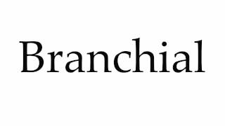 How to Pronounce Branchial [upl. by Urissa]