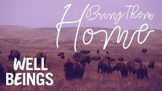 Montana Tribe Establishes Wild Buffalo Herd amp Heals Their Community  Bring Them Home  Well Beings [upl. by Donadee]