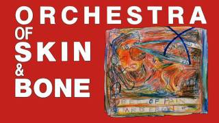 Orchestra Of Skin amp Bone  In Search Of Faculty X [upl. by Iddo605]