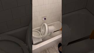 What Was Flushed Down This Toilet [upl. by Tewfik]