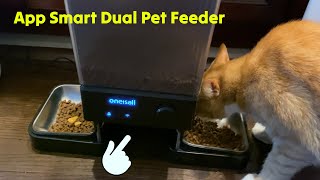 oneisall 5G WiFi App Controlled Dual Pet Feeder Review 🟡 Gadgetify [upl. by Anwahsal99]