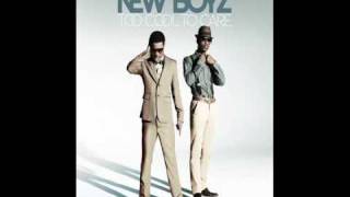 New Boyz ft Big Sean I Dont Care Clean [upl. by Avehsile12]