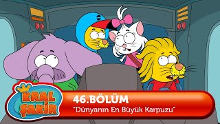 Kral Şakir 46 Bölüm  Dünyanın En Büyük Karpuzu [upl. by Qiratla]