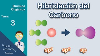 ¿Qué es y por qué ocurre la hibridación [upl. by Lsil]