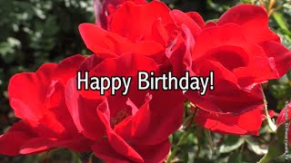 🌹 Alles Gute zum Geburtstag 💖🍀🌞 Happy Birthday 🌹 WhatsApp Grußvideo kostenlos zum Verschicken [upl. by Eyak]