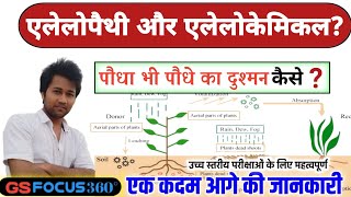 what is Allelopathy and allelochemicals functional properties of plants what is allelochemicals [upl. by Maharva]