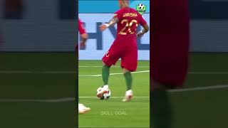 BEST GOAL 003  Ricardo Quaresma Trivela goals football soccer [upl. by Kellene438]