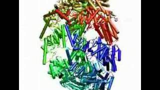 Chaperonin transition from open to closed conformation [upl. by Redmond]