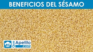 8 Propiedades y Beneficios de los SÉSAMO ✅  Ajonjolí  QueApetito [upl. by Naenaj]