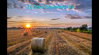 Dj Zoka Slavonski mix [upl. by Georgeanne632]