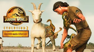 Compsognathus BRUATALLY attack Humans and Goat  Jurassic World Evolution 2 Malta Expansion DLC [upl. by Ojahtnamas]