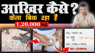 इतनी आसानी से 1 लाख 20 हजार रुपये Kg केला पाउडर कैसे बेच सकते हैं BananaPowderBusiness [upl. by Lein]