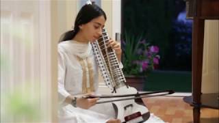 Raag Desh Dilruba [upl. by Nuawtna]