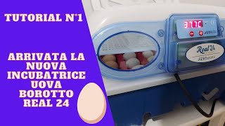 ARRIVATA LA NUOVA INCUBATRICE UOVA BOROTTO REAL 24 TUTORIAL N°1 [upl. by Atirys]