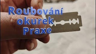 Roubování okurek Praxe 1 [upl. by Ruthi]