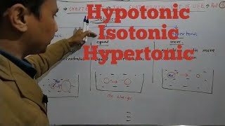 Hypotonic solution isotonic solution hypertonic solution class 9 chapter 5 [upl. by Korns]