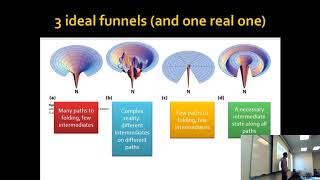 How Protein Folding Can Save Your Life [upl. by Howey]