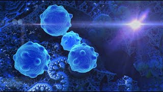 Innate Lymphoid Cells [upl. by Orianna]