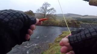 Fishing Cardrona Upper Tweed 25th and 27th October [upl. by Law]