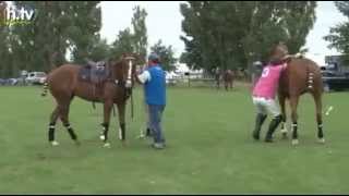 Berlin Maifeld Cup im Pferdepolo [upl. by Patrizius200]