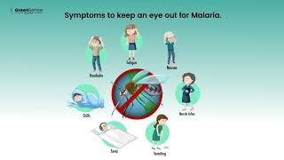 Malaria Symptoms  Signs of Malaria  Severe Malaria Symptoms Animation Videos [upl. by Timotheus116]