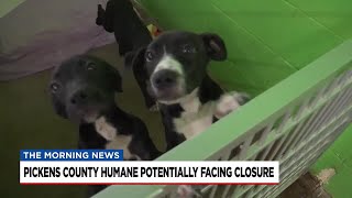 Pickens County Humane Society hoping for Christmas miracle as it faces imminent closure [upl. by Hessler594]