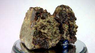 Meteorite NWA 8251 Achondrite Lodranite Breccia [upl. by Esinaej]