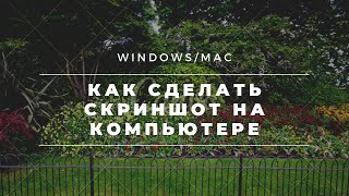 Как сделать скриншот экрана на компьютере в Windows Mac [upl. by Sasnak]